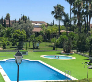 Pool where they stay